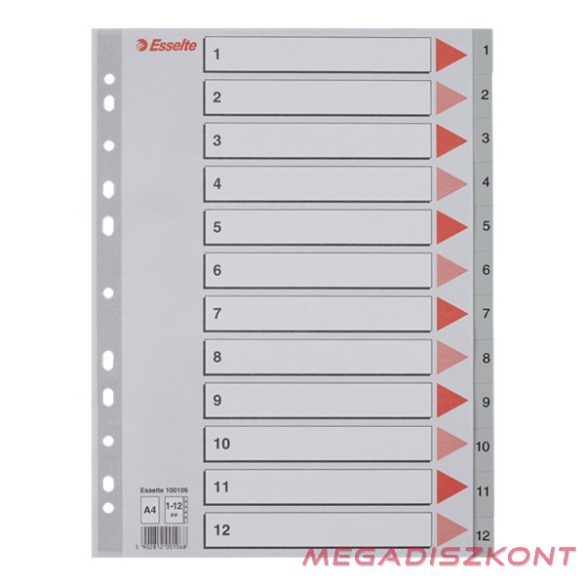 Regiszter ESSELTE A/4 műanyag 1-12