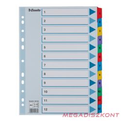 Regiszter ESSELTE Mylar A/4 laminált karton 1-12