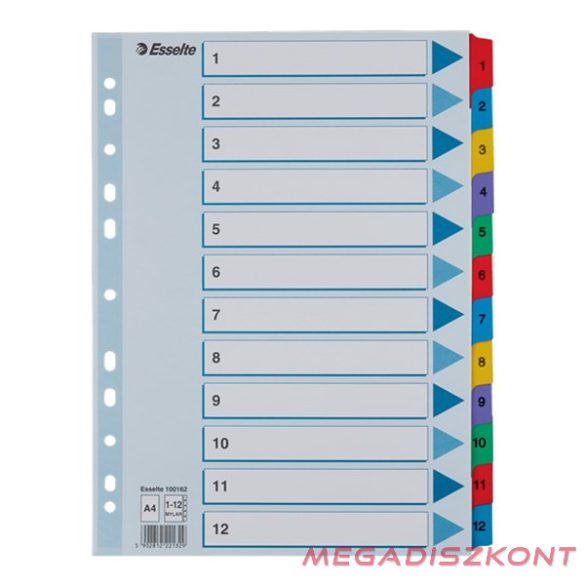 Regiszter ESSELTE Mylar A/4 laminált karton 1-12