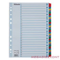 Regiszter ESSELTE Mylar A/4 laminált karton 1-31