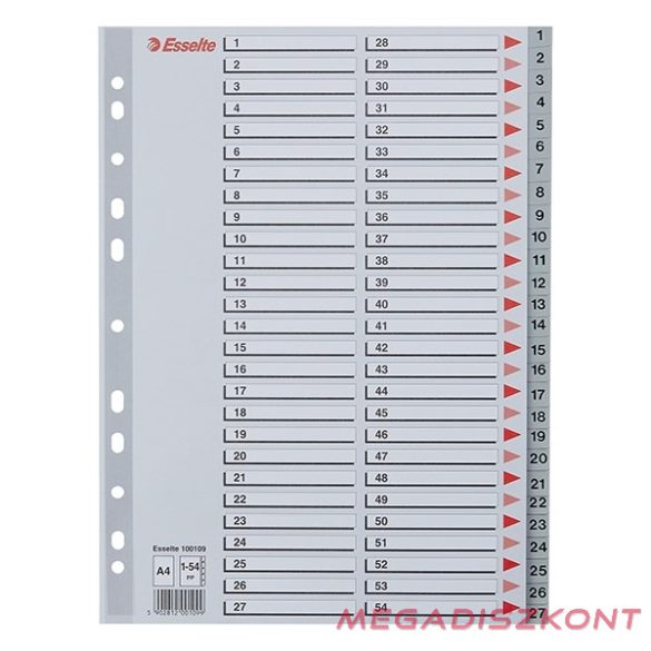 Regiszter ESSELTE A/4 műanyag 1-54 szürke