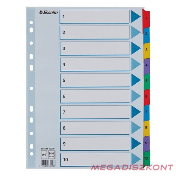 Regiszter ESSELTE Mylar A/4 laminált karton 1-10