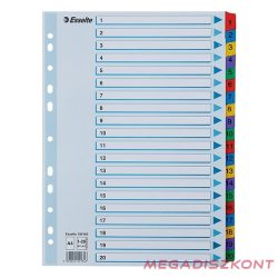 Regiszter ESSELTE Mylar A/4 laminált karton 1-20