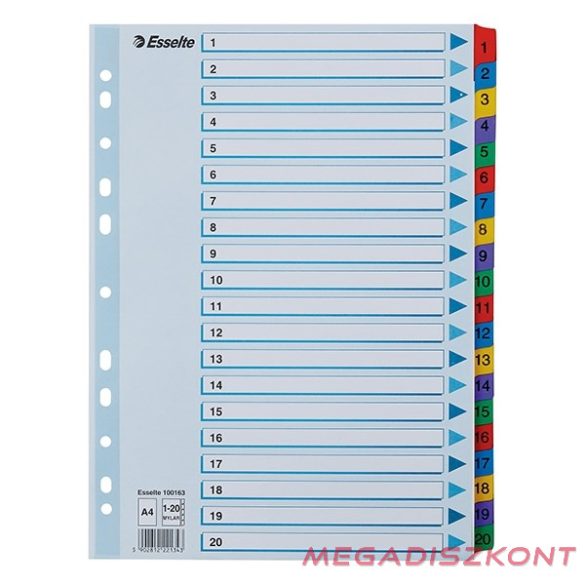 Regiszter ESSELTE Mylar A/4 laminált karton 1-20