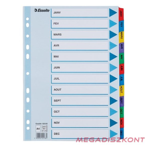 Regiszter ESSELTE Mylar A/4 laminált karton Jan-Dec